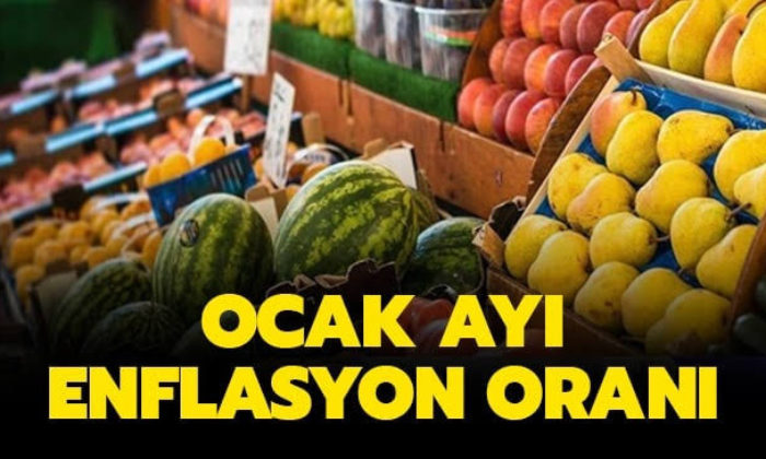 Ocak Ayı Enflasyon Oranları Belli Oldu