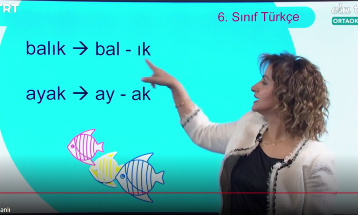 TRT – EBA TV Yayın Akışı – Ders Programı