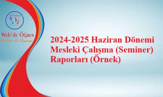 2024-2025 Haziran Dönemi Mesleki Çalışma (Seminer) Raporları (Örnek)